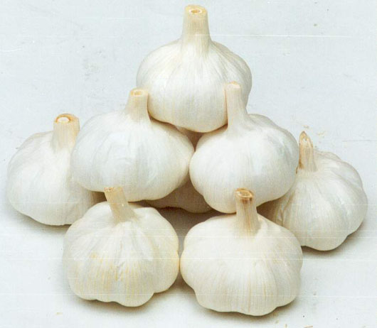 garlic  Made in Korea